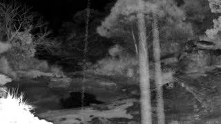 Still 2 from this detection