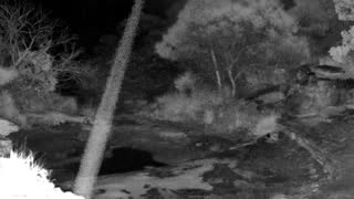 Still 3 from this detection