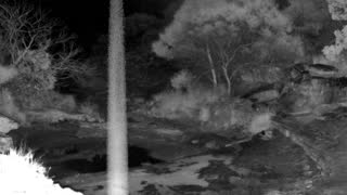 Still 1 from this detection