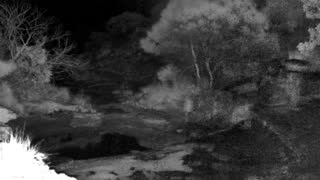 Still 3 from this detection