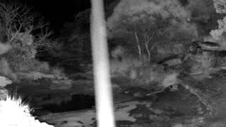Still 2 from this detection
