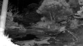 Still 2 from this detection