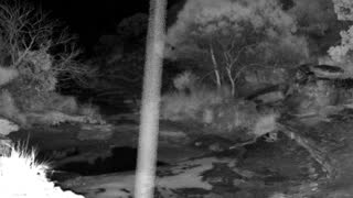 Still 2 from this detection