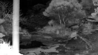 Still 3 from this detection