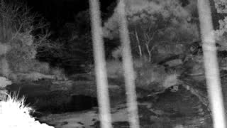 Still 1 from this detection