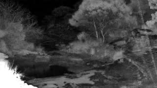 Still 2 from this detection
