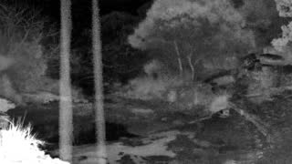 Still 2 from this detection