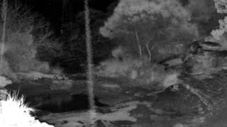 Still 3 from this detection
