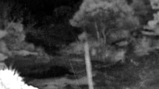Still 1 from this detection