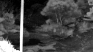 Still 3 from this detection