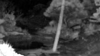 Still 3 from this detection