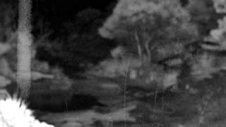 Still 3 from this detection