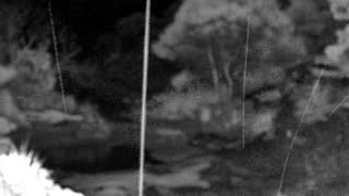 Still 2 from this detection