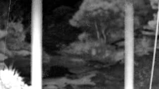Still 2 from this detection