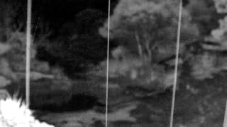 Still 2 from this detection