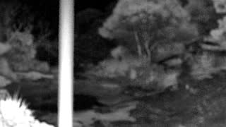 Still 2 from this detection