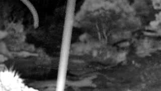 Still 3 from this detection