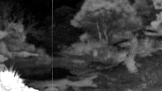 Still 1 from this detection
