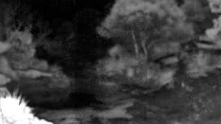 Still 1 from this detection
