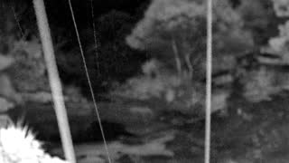Still 2 from this detection