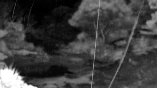 Still 2 from this detection