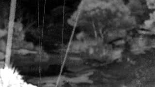 Still 1 from this detection
