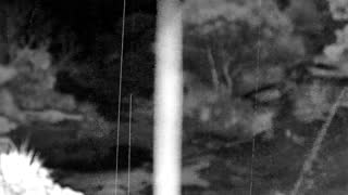Still 1 from this detection