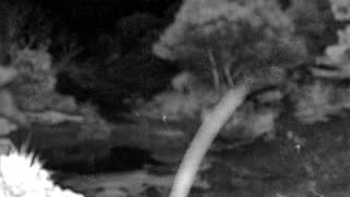 Still 1 from this detection
