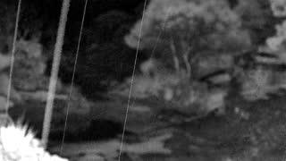 Still 1 from this detection