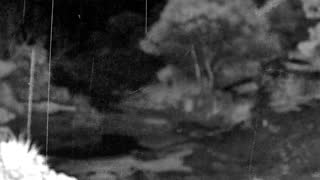 Still 2 from this detection