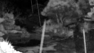 Still 3 from this detection