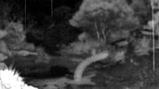 Still 1 from this detection