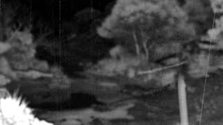Still 2 from this detection
