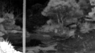 Still 3 from this detection