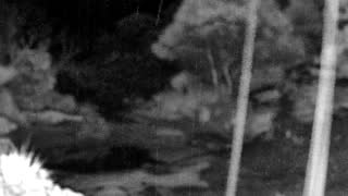 Still 2 from this detection