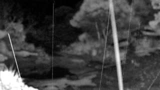 Still 1 from this detection