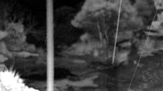 Still 2 from this detection