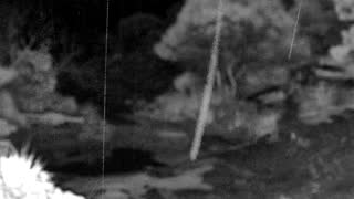 Still 3 from this detection