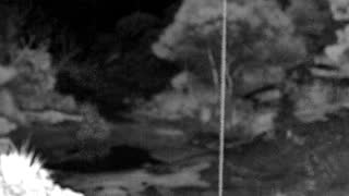 Still 2 from this detection