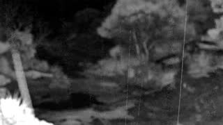 Still 1 from this detection