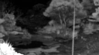 Still 3 from this detection