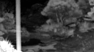 Still 2 from this detection