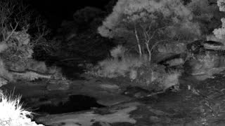 Still 2 from this detection