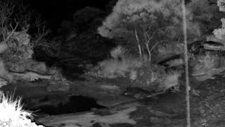 Still 3 from this detection