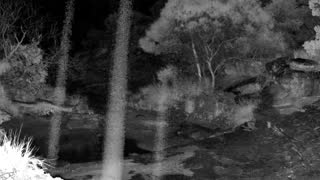 Still 3 from this detection