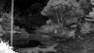 Still 2 from this detection