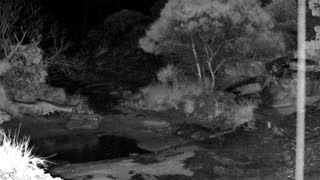 Still 2 from this detection