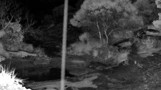 Still 3 from this detection