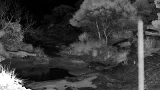 Still 3 from this detection