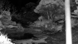 Still 2 from this detection